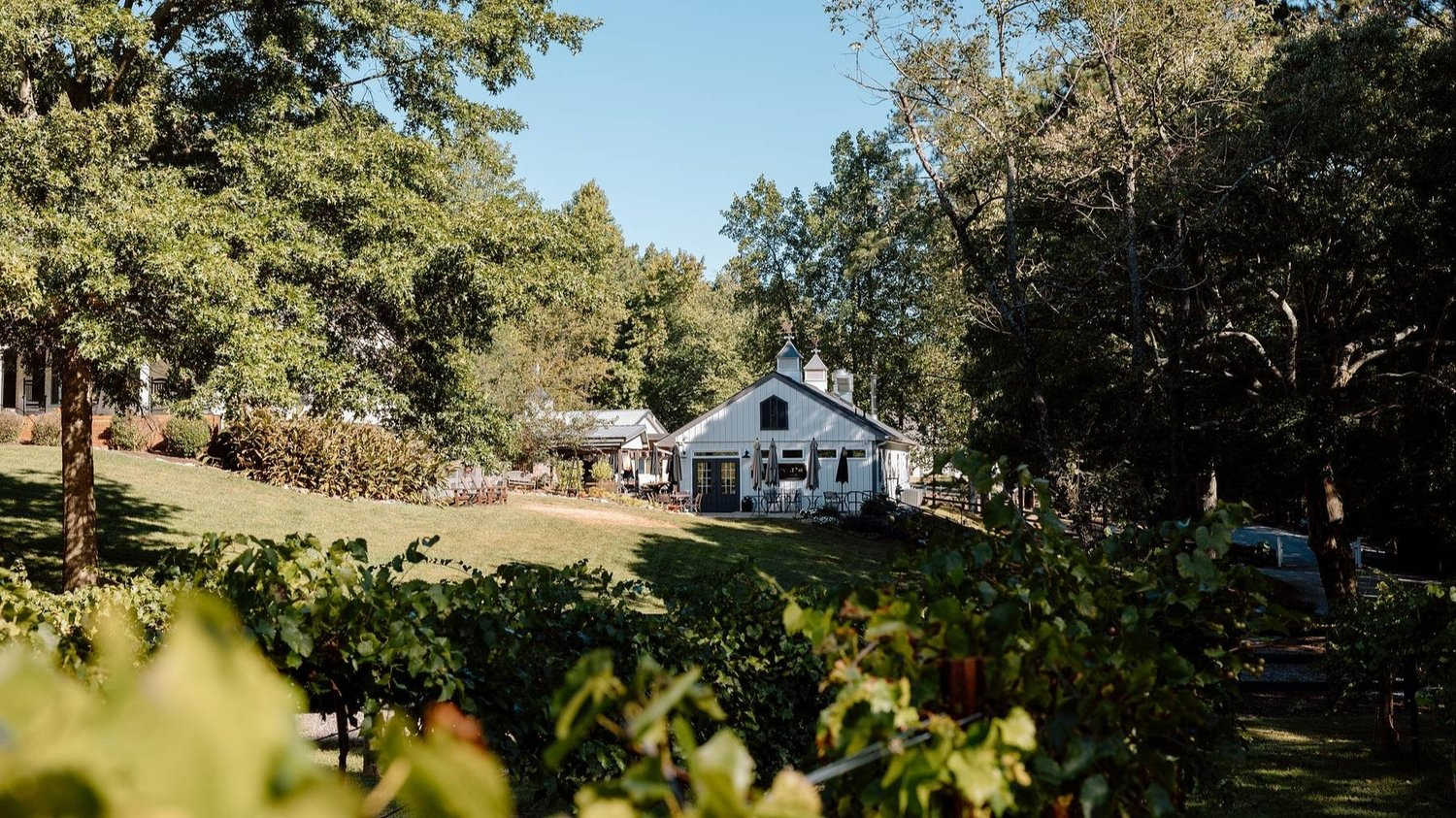 Reluctantly Refined: Stoney J’s Vineyard & Forsyth County’s Subtle Sophistication