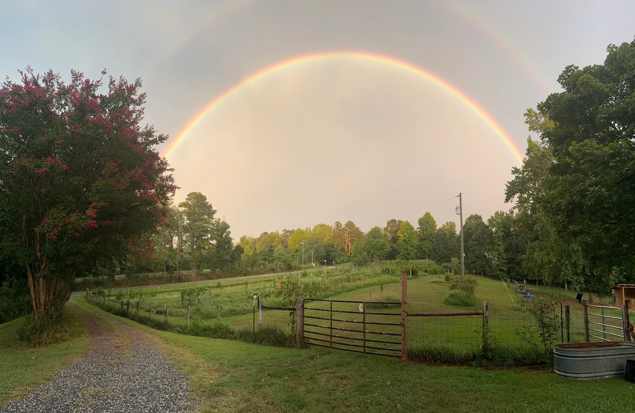 “This Little Farm of Mine—Watch Monkey Doodle Shine”