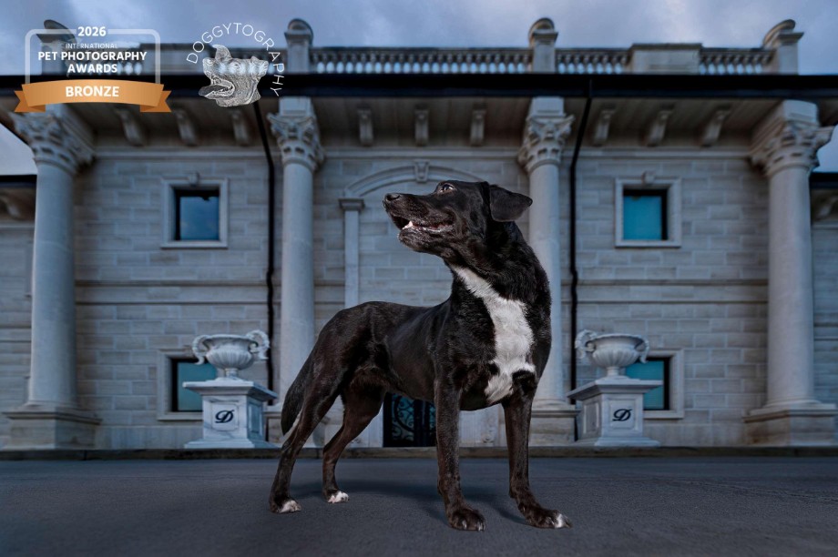 NORTH GEORGIA TALENT GOES GLOBAL: LOCAL PHOTOGRAPHER EARNS TOP HONORS